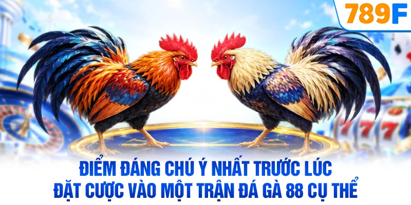 Điểm đáng chú ý nhất trước lúc đặt cược vào một trận đá gà 88 cụ thể